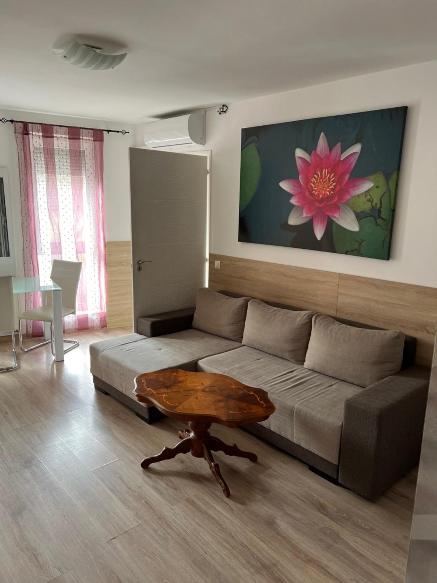 Sweet Dream Guesthouse Szeged Exteriör bild